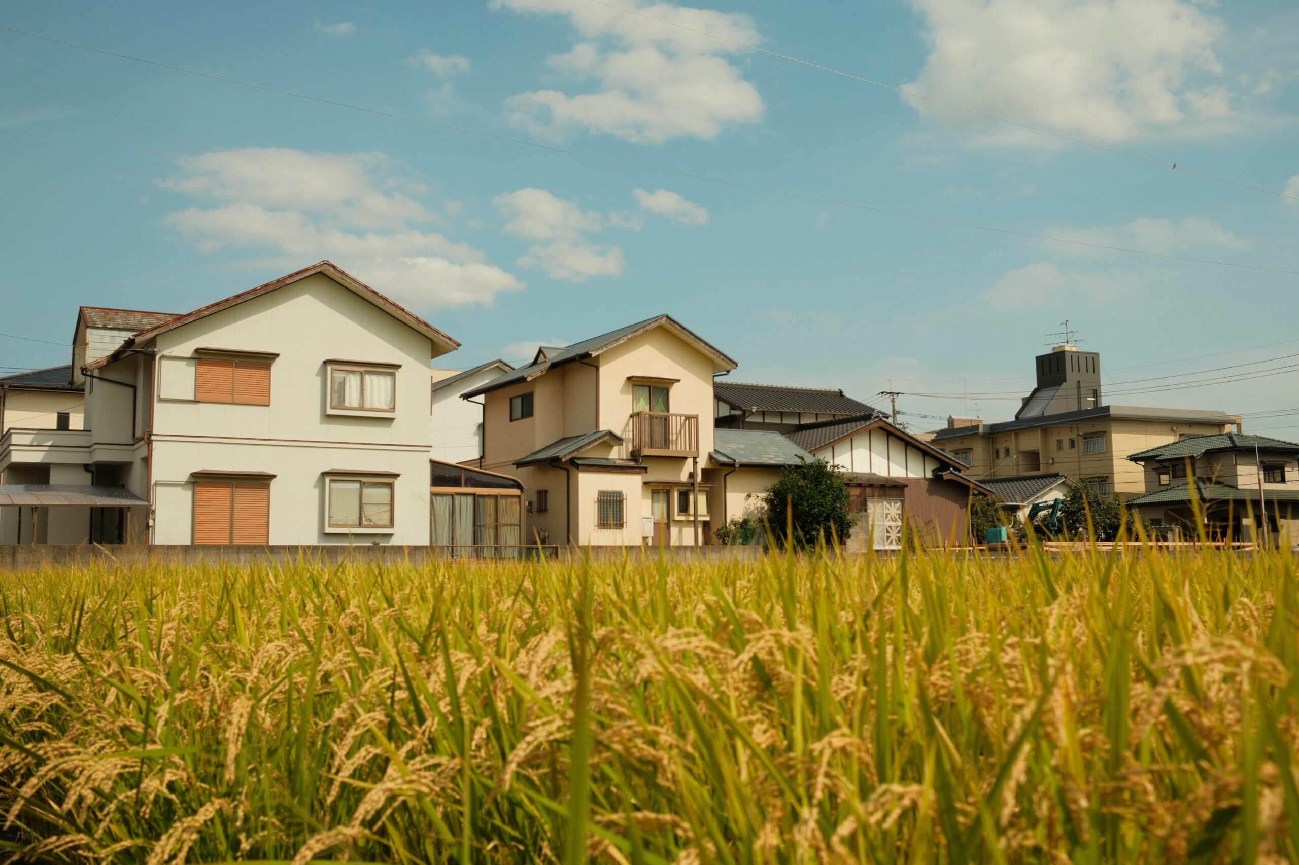 青空の下に広がる住宅地と稲穂の田んぼ